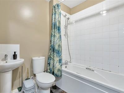 Picture 7